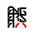 Angarsa Labs avatar